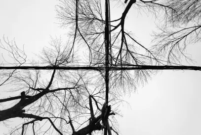 ביליון קזינו אפליקציה לנייד